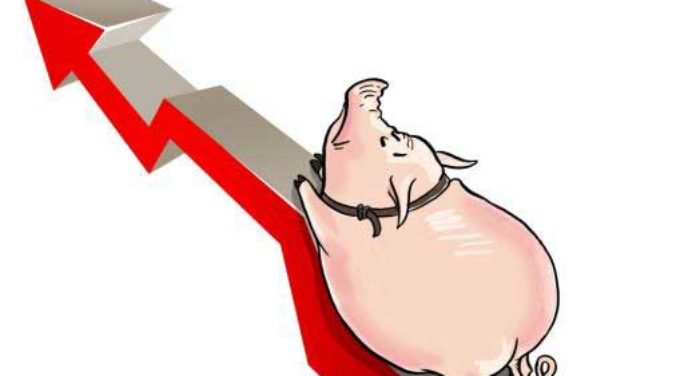 生猪期货一手手续费多少钱？怎么计算手续费？